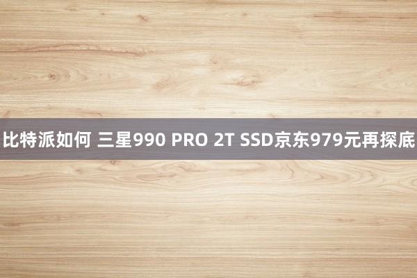 比特派如何 三星990 PRO 2T SSD京东979元再探底