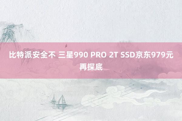 比特派安全不 三星990 PRO 2T SSD京东979元再探底