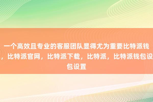 一个高效且专业的客服团队显得尤为重要比特派钱包，比特派官网，比特派下载，比特派，比特派钱包设置