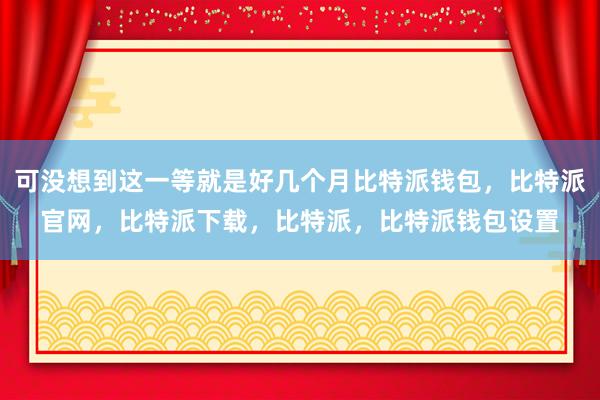 可没想到这一等就是好几个月比特派钱包，比特派官网，比特派下载，比特派，比特派钱包设置