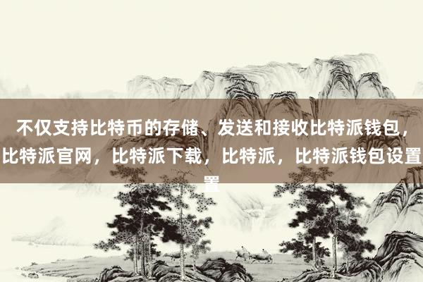 不仅支持比特币的存储、发送和接收比特派钱包，比特派官网，比特派下载，比特派，比特派钱包设置