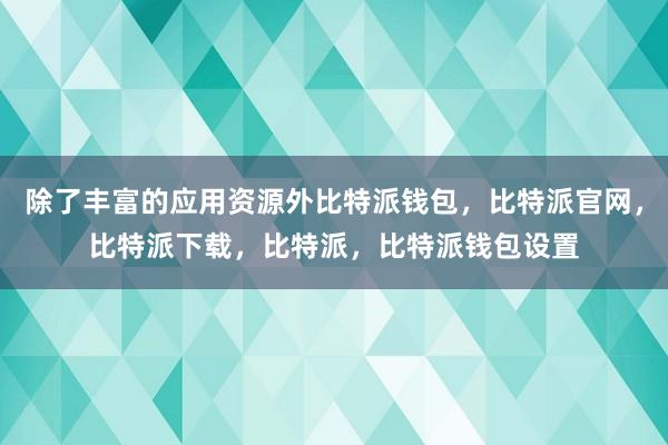 除了丰富的应用资源外比特派钱包，比特派官网，比特派下载，比特派，比特派钱包设置