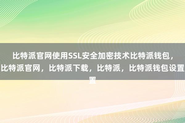 比特派官网使用SSL安全加密技术比特派钱包，比特派官网，比特派下载，比特派，比特派钱包设置