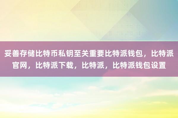 妥善存储比特币私钥至关重要比特派钱包，比特派官网，比特派下载，比特派，比特派钱包设置