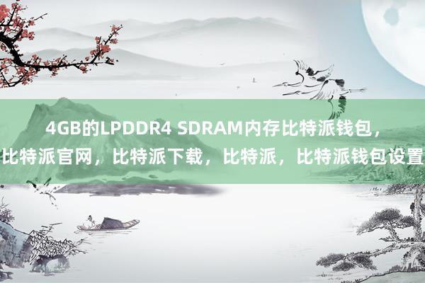 4GB的LPDDR4 SDRAM内存比特派钱包，比特派官网，比特派下载，比特派，比特派钱包设置