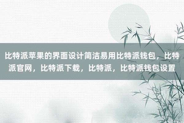 比特派苹果的界面设计简洁易用比特派钱包，比特派官网，比特派下载，比特派，比特派钱包设置