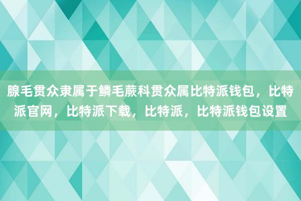 腺毛贯众隶属于鳞毛蕨科贯众属比特派钱包，比特派官网，比特派下载，比特派，比特派钱包设置