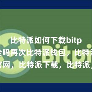 比特派如何下载bitpie钱包安全吗再次比特派钱包，比特派官网，比特派下载，比特派，比特派钱包设置