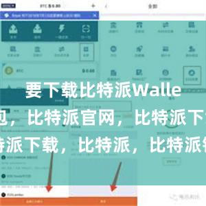 要下载比特派Wallet比特派钱包，比特派官网，比特派下载，比特派，比特派钱包设置