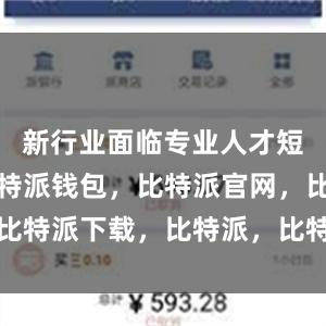 新行业面临专业人才短缺问题比特派钱包，比特派官网，比特派下载，比特派，比特派钱包设置